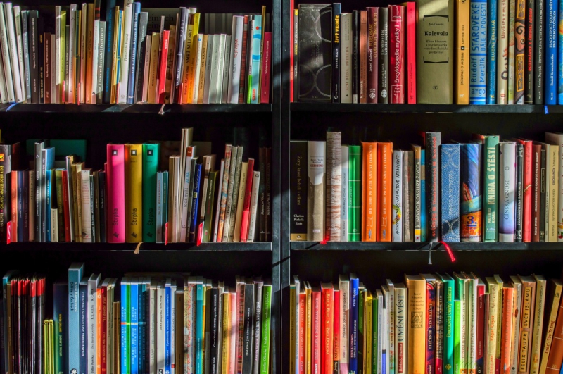 boutique-BRENON-min_books_bookstore_book_reading_shop_writer_sale_books_read-822866